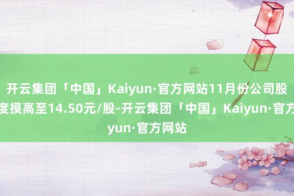 开云集团「中国」Kaiyun·官方网站11月份公司股价一度摸高至14.50元/股-开云集团「中国」Kaiyun·官方网站